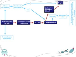 Crônico 
> 6 semanas 
Crescimento 
Progressivo 
sim 
não 
Linfodenopatia 
cervical 
Se contato com 
tuberculose 
Agudo / sub agudo 
< 6 semanas 
> 3 cm 
Ultrasonografia 
Linfoma ? 
Suspeita ? 
Dúbio ? 
Abscesso 
Antibiótico 
I.V. 
Biópsia 
Se nenhuma resolução: incisão 
e drenagem, cultura e sensibilidade, 
e citologia  