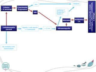 Crônico 
> 6 semanas 
Crescimento 
Progressivo 
sim 
não 
Linfodenopatia 
cervical 
Se contato com 
tuberculose 
Agudo / sub agudo 
< 6 semanas 
> 3 cm 
Ultrasonografia 
Linfoma ? 
Suspeita ? 
Dúbio ? 
Abscesso 
Antibiótico 
I.V. 
biópsia 
Se nenhuma resolução: incisão 
e drenagem, cultura e sensibilidade, 
e citologia  