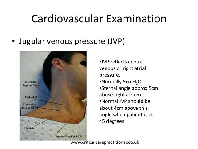 Cardiovascular examination