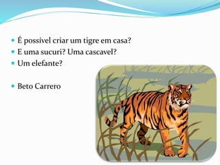  É possível criar um tigre em casa?
 E uma sucuri? Uma cascavel?
 Um elefante?
 Beto Carrero
 