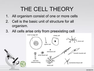THE CELL THEORY
1. All organism consist of one or more cells
2. Cell is the basic unit of structure for all
organism.
3. All cells arise only from preexisting cell
 