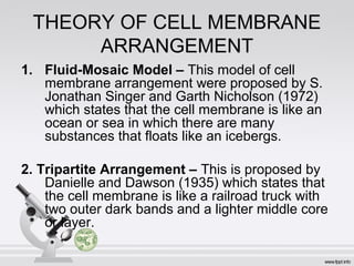 THEORY OF CELL MEMBRANE
ARRANGEMENT
1. Fluid-Mosaic Model – This model of cell
membrane arrangement were proposed by S.
Jonathan Singer and Garth Nicholson (1972)
which states that the cell membrane is like an
ocean or sea in which there are many
substances that floats like an icebergs.
2. Tripartite Arrangement – This is proposed by
Danielle and Dawson (1935) which states that
the cell membrane is like a railroad truck with
two outer dark bands and a lighter middle core
or layer.
 