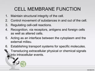 CELL MEMBRANE FUNCTION
1. Maintain structural integrity of the cell.
2. Control movement of substances in and out of the cell.
3. Regulating cell-cell reactions.
4. Recognition, via receptors, antigens and foreign cells
as well as altered cells.
5. Acting as an interface between the cytoplasm and the
external milieu.
6. Establishing transport systems for specific molecules.
7. Transducing extracellular physical or chemical signals
into intracellular events.
 