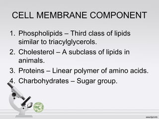 CELL MEMBRANE COMPONENT
1. Phospholipids – Third class of lipids
similar to triacylglycerols.
2. Cholesterol – A subclass of lipids in
animals.
3. Proteins – Linear polymer of amino acids.
4. Charbohydrates – Sugar group.
 