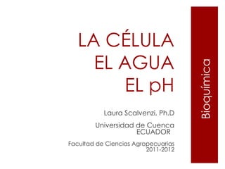 LA CÉLULA
     EL AGUA




                                     Bioquímica
        EL pH
           Laura Scalvenzi, Ph.D
        Universidad de Cuenca
                    ECUADOR
Facultad de Ciencias Agropecuarias
                         2011-2012
 