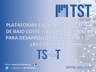 Web en www.tst-sistemas.es...
     …o síguenos en @tstsistemas
 