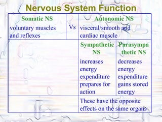 Nervous System Function
     Somatic NS              Autonomic NS
voluntary muscles   Vs visceral/smooth and
and reflexes           cardiac muscle
                       Sympathetic Parasympa
                            NS          thetic NS
                       increases       decreases
                       energy          energy
                       expenditure expenditure
                       prepares for gains stored
                       action          energy
                       These have the opposite
                       effects on the same organs
 