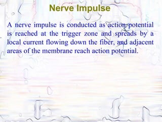 Nerve Impulse
A nerve impulse is conducted as action potential
is reached at the trigger zone and spreads by a
local current flowing down the fiber, and adjacent
areas of the membrane reach action potential.
 