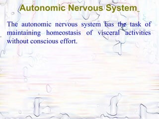 Autonomic Nervous System
The autonomic nervous system has the task of
maintaining homeostasis of visceral activities
without conscious effort.
 