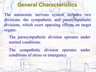 General Characteristics
The autonomic nervous system includes two
divisions: the sympathetic and parasympathetic
divisions, which exert opposing effects on target
organs.
  The parasympathetic division operates under
  normal conditions.
  The sympathetic division operates under
  conditions of stress or emergency.
 