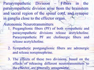 Parasympathetic Division – Fibers in the
parasympathetic division arise from the brainstem
and sacral region of the spinal cord, and synapse
in ganglia close to the effector organ.
Autonomic Neurotransmitters
  1. Preganglionic fibers (PF) of both sympathetic and
     parasympathetic divisions release acetylcholine.
     Parasympathetic PF are cholinergic fibers and
     release acetylcholine.
  2. Sympathetic postganglionic fibers are adrenergic
     and release norepinephrine.
  3. The effects of these two divisions, based on the
     effects of releasing different neurotransmitters to
     the effector, are generally antagonistic.
 