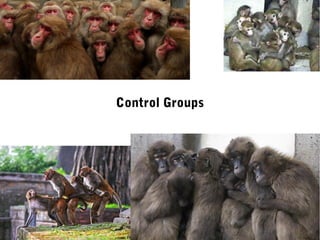 Control Groups
 