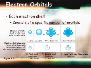Electron Orbitals Each electron shell Consists of a specific number of orbitals Electron orbitals. Each orbital holds up to two electrons. 1 s  orbital 2 s  orbital Three 2 p  orbitals 1 s,  2 s , and 2 p  orbitals (a) First shell (maximum 2 electrons) (b) Second shell (maximum 8 electrons) (c) Neon, with two filled shells (10 electrons) Electron-shell diagrams. Each shell is shown with its maximum number of  electrons, grouped in pairs. x Z Y Figure 2.9 