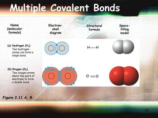 Multiple Covalent Bonds (a) (b) Name (molecular formula) Electron- shell diagram Structural formula Space- filling model Hydrogen (H 2 ).  Two hydrogen  atoms can form a  single bond. Oxygen (O 2 ).   Two oxygen atoms  share two pairs of  electrons to form  a double bond. H H O O Figure 2.11 A, B 