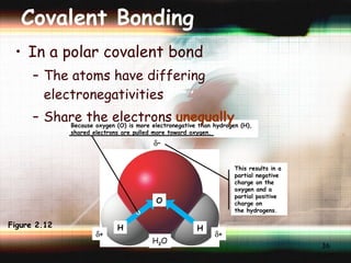 In a polar covalent bond The atoms have differing electronegativities Share the electrons  unequally Covalent Bonding Figure 2.12 This results in a  partial negative  charge on the oxygen and a partial positive charge on the hydrogens. H 2 O  – O H H  +  + Because oxygen (O) is more electronegative than hydrogen (H),  shared electrons are pulled more toward oxygen. 