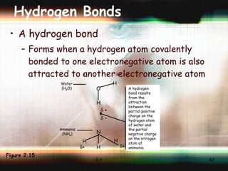 Hydrogen Bonds A hydrogen bond Forms when a hydrogen atom covalently bonded to one electronegative atom is also attracted to another electronegative atom   –    +    + Water (H 2 O) Ammonia (NH 3 ) O H H    +   – N H H H A hydrogen bond results  from the  attraction  between the partial positive  charge on the  hydrogen atom  of water and  the partial  negative charge  on the nitrogen  atom of  ammonia.  +  + Figure 2.15 