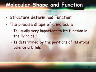Molecular Shape and Function Structure determines Function! The precise shape of a molecule Is usually very important to its function in the living cell Is determined by the positions of its atoms’ valence orbitals 