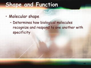 Shape and Function Molecular shape Determines how biological molecules recognize and respond to one another with specificity 
