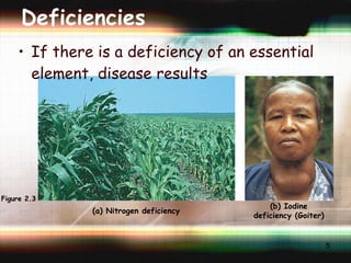 Deficiencies If there is a deficiency of an essential element, disease results Figure 2.3 (a) Nitrogen deficiency (b) Iodine deficiency (Goiter) 