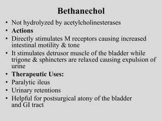 Bethanechol
• Not hydrolyzed by acetylcholinesterases
• Actions
• Directly stimulates M receptors causing increased
intestinal motility & tone
• It stimulates detrusor muscle of the bladder while
trigone & sphincters are relaxed causing expulsion of
urine
• Therapeutic Uses:
• Paralytic ileus
• Urinary retentions
• Helpful for postsurgical atony of the bladder
and GI tract
 