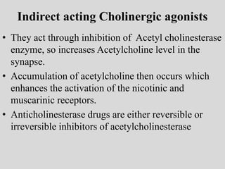 Indirect acting Cholinergic agonists
• They act through inhibition of Acetyl cholinesterase
enzyme, so increases Acetylcholine level in the
synapse.
• Accumulation of acetylcholine then occurs which
enhances the activation of the nicotinic and
muscarinic receptors.
• Anticholinesterase drugs are either reversible or
irreversible inhibitors of acetylcholinesterase
 