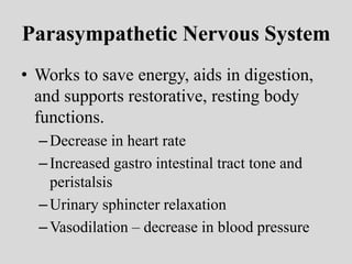 Parasympathetic Nervous System
• Works to save energy, aids in digestion,
and supports restorative, resting body
functions.
–Decrease in heart rate
–Increased gastro intestinal tract tone and
peristalsis
–Urinary sphincter relaxation
–Vasodilation – decrease in blood pressure
 