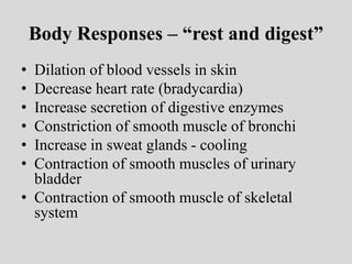 Body Responses – “rest and digest”
• Dilation of blood vessels in skin
• Decrease heart rate (bradycardia)
• Increase secretion of digestive enzymes
• Constriction of smooth muscle of bronchi
• Increase in sweat glands - cooling
• Contraction of smooth muscles of urinary
bladder
• Contraction of smooth muscle of skeletal
system
 