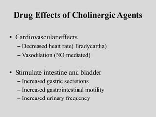 Drug Effects of Cholinergic Agents
• Cardiovascular effects
– Decreased heart rate( Bradycardia)
– Vasodilation (NO mediated)
• Stimulate intestine and bladder
– Increased gastric secretions
– Increased gastrointestinal motility
– Increased urinary frequency
 