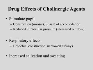 Drug Effects of Cholinergic Agents
• Stimulate pupil
– Constriction (miosis), Spasm of accomodation
– Reduced intraocular pressure (increased outflow)
• Respiratory effects
– Bronchial constriction, narrowed airways
• Increased salivation and sweating
 