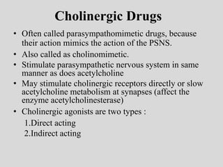 What Do Cholinergic Drugs Do?