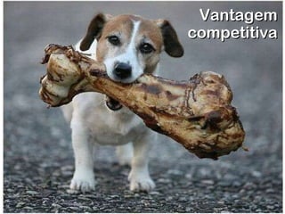 Mulher com notebook  em sinal de ok Vantagem competitiva 