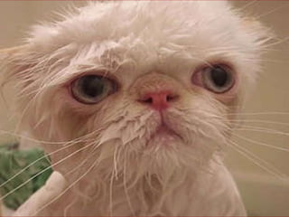 E a aparência, é  importante para o design 