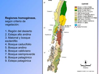 Regiones homogéneas , según criterio de vegetación: 1. Región del desierto 2. Estepa alto andina 3. Matorral y bosque esclerófilo 4. Bosque caducifolio 5. Bosque andino 6. Bosque valdiviano 7. Bosque siempreverde 8. Bosque patagónico 9. Estepa patagónica 