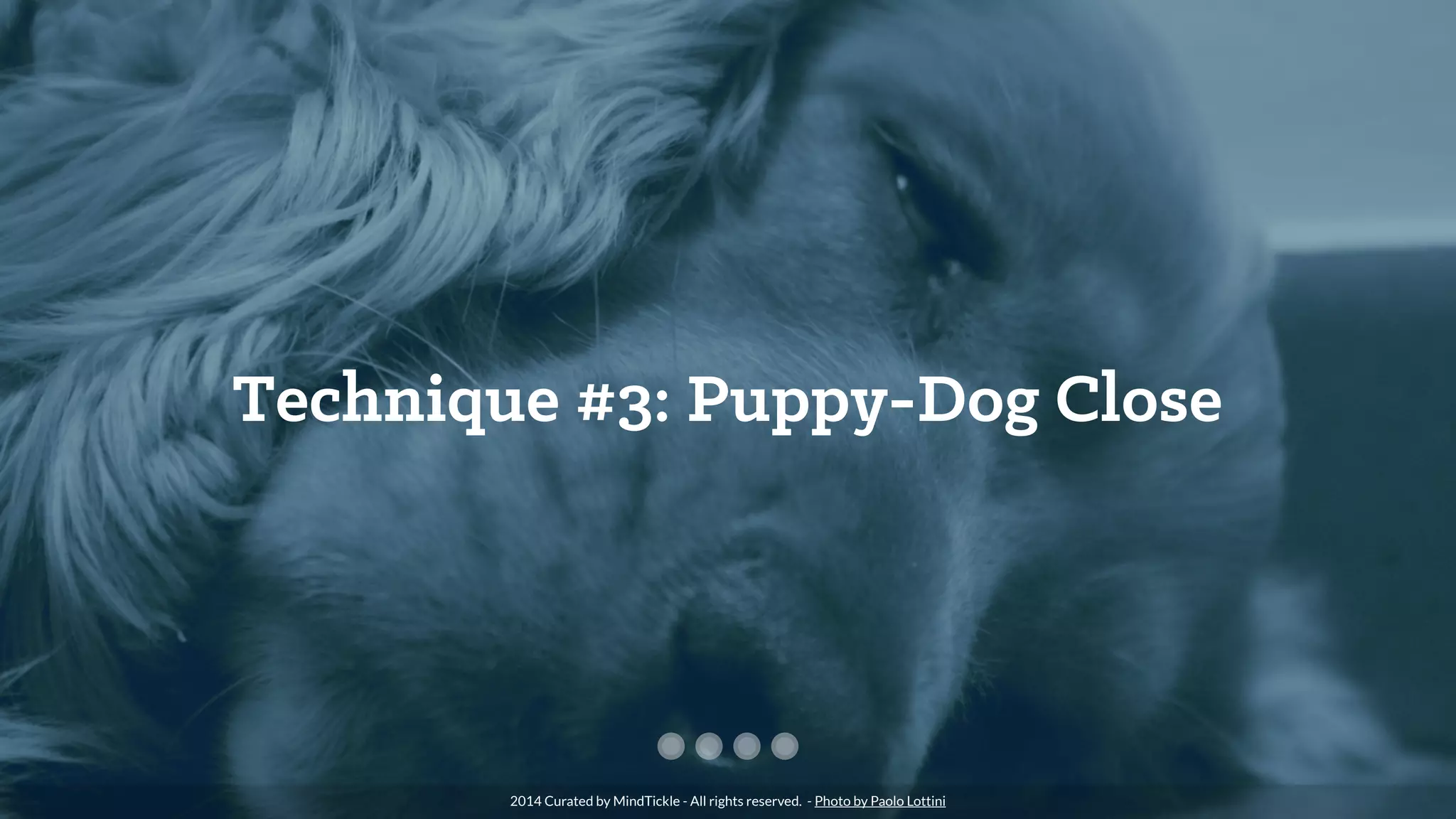 Technique #3: Puppy-Dog Close
2014 Curated by MindTickle - All rights reserved. - Photo by Paolo Lottini
 