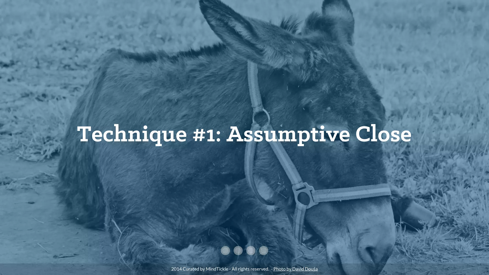 Technique #1: Assumptive Close
2014 Curated by MindTickle - All rights reserved. - Photo by David Douša
 