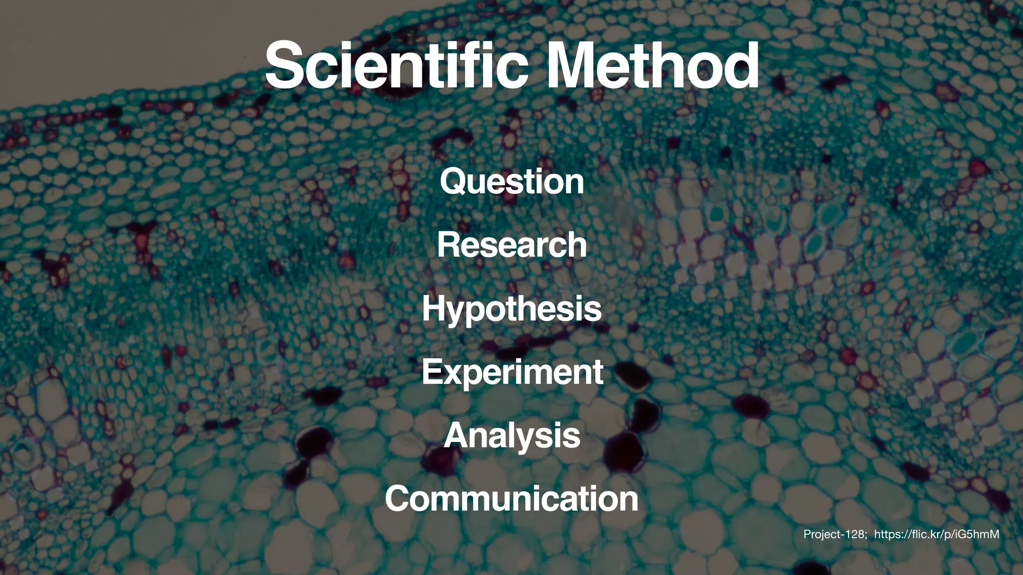 Scientific Method
Question
Research
Hypothesis
Experiment
Analysis
Communication
Project-128; https://ﬂic.kr/p/iG5hmM
 