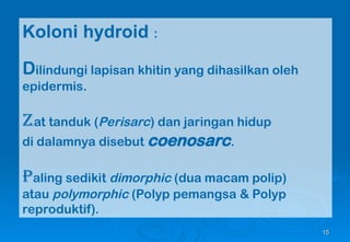02-Coelenterata Ciri Khas, Daur Hidup dan SIstem Tubu | PPT