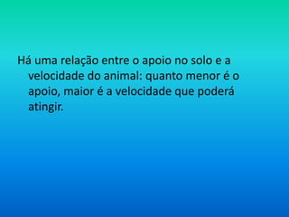 Há uma relação entre o apoio no solo e a
velocidade do animal: quanto menor é o
apoio, maior é a velocidade que poderá
atingir.

 