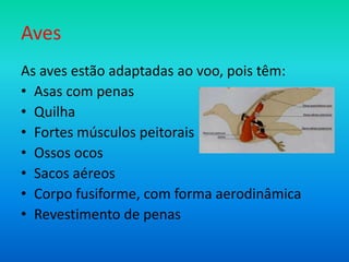 Aves
As aves estão adaptadas ao voo, pois têm:
• Asas com penas
• Quilha
• Fortes músculos peitorais
• Ossos ocos
• Sacos aéreos
• Corpo fusiforme, com forma aerodinâmica
• Revestimento de penas

 