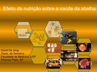 1 
Efeito de nutrição sobre a saúde da abelha 
David De Jong 
Depto. de Genetica 
Faculdade de Medicina, USP 
Ribeirao Preto, SP  