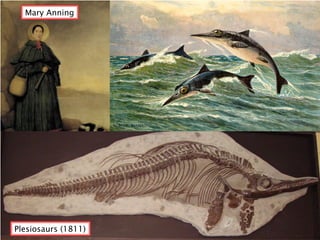 Mary Anning




Plesiosaurs (1811)
 
