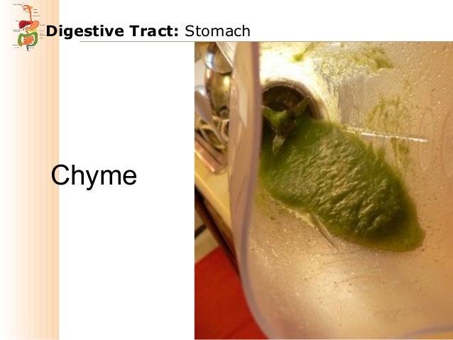 Chyme