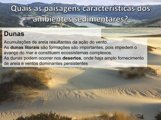 Dunas 
Acumulações de areia resultantes da ação do vento. 
As dunas litorais são formações são importantes, pois impedem o 
avanço do mar e constituem ecossistemas complexos. 
As dunas podem ocorrer nos desertos, onde haja amplo fornecimento 
de areia e ventos dominantes persistentes 
 