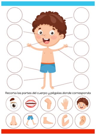 Recorta las partes del cuerpo y pégalas donde corresponda
 