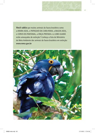 636. Protegendo a biosfera 63
Você sabia que muitos animais da fauna brasileira como
a ARARA-AZUL, o PAPAGAIO-DA-CARA-ROXA, a BALEIA-AZUL,
o CERVO-DO-PANTANAL, a ONÇA-PINTADA e o LOBO-GUARÁ
estão ameaçados de extinção? Conheça a lista do Ministério
do Meio Ambiente dos animais da fauna brasileira em extinção:
www.mma.gov.br
06868 miolo.indd 63 17/1/2012 17:51:55
 