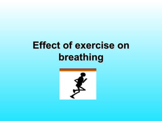 Effect of exercise on breathing 