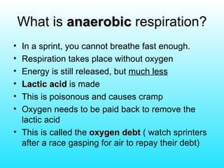What is  anaerobic  respiration? In a sprint, you cannot breathe fast enough. Respiration takes place without oxygen Energy is still released, but  much less   Lactic acid  is made This is poisonous and causes cramp Oxygen needs to be paid back to remove the lactic acid This is called the  oxygen debt  ( watch sprinters after a race gasping for air to repay their debt) 