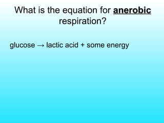 What is the equation for  anerobic  respiration? glucose -> lactic acid + some energy 