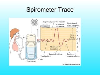 Spirometer Trace 
