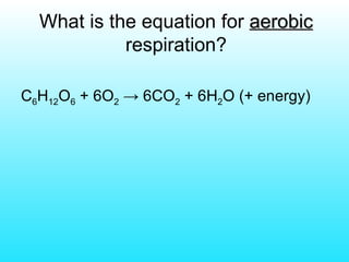 What is the equation for  aerobic  respiration? C 6 H 12 O 6  + 6O 2  -> 6CO 2  + 6H 2 O (+ energy) 